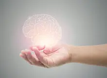 کمبود این ویتامین‌ها مغز را تنبل و متوهم می‌کند