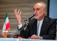 صالحی: احتیاط بیش از حد در استفاده از نخبگان دو تابعیتی فلج کننده است
