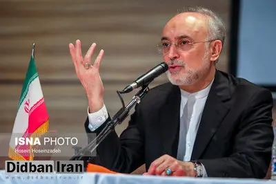 صالحی: احتیاط بیش از حد در استفاده از نخبگان دو تابعیتی فلج کننده است
