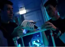 اطلاعات مشتریان آدیداس لو رفت
