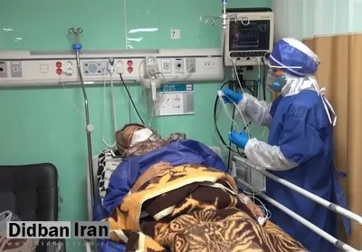 وزیر بهداشت: وارد موج هفتم کرونا شده ایم