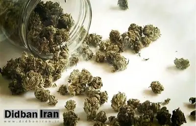 نشانه‌های ظاهری و روانی مصرف گل چیست؟