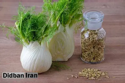 ۱۱خاصیت رازیانه از درمان کبد چرب تا درمان کم کاری تیروئید