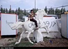 روزهای پایانی سال در سرپل ذهاب + عکس