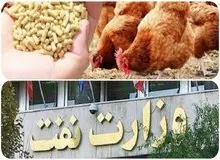 وزیر نفت و بحران مرغ ۲۰۰ هزارتومانی؛به جای ارز وعده تحویل می دهند!