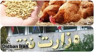 وزیر نفت و بحران مرغ ۲۰۰ هزارتومانی؛به جای ارز وعده تحویل می دهند!