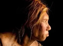 کشف «کارخانه استخراج چربی» ۱۲۵ هزار ساله؛ نئاندرتال‌ها بسیار پیشرفته‌تر از تصور ما بودند