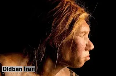 کشف «کارخانه استخراج چربی» ۱۲۵ هزار ساله؛ نئاندرتالها بسیار پیشرفتهتر از تصور ما بودند