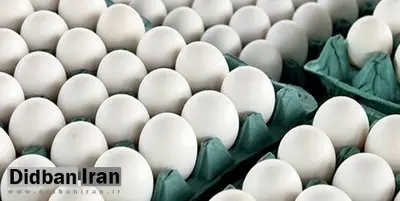 تخم مرغ در ۵ روز دو بار گران شد