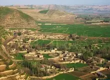 افزایش میزان خودکشی در افغانستان/ یک پسر جوان در فاریاب خودش را حلق‌آویز کرد
