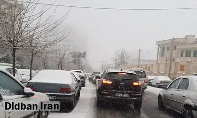 دسته گل جدید شهرداری تهران؛ عدم "شن‌پاشی" چندین خیابان را قفل کرد/ سوخت خودروهای گرفتار در حال اتمام است