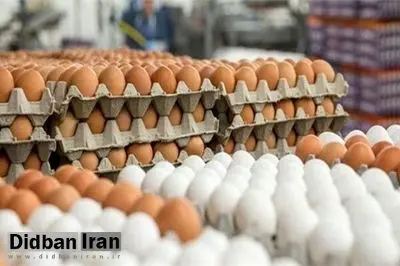 «تخم‌مرغ» ایرانی خریدار ندارد!