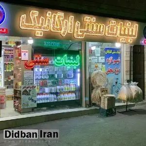 هشدار مهم یک مقام وزارت بهداشت درباره سگ و گربه