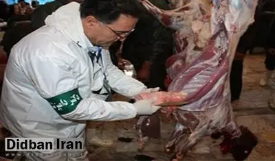 تعداد مبتلایان تب کریمه کنگو به ٣٨ نفر رسید