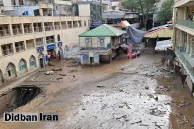 رئیس پژوهشگاه هواشناسی و علوم جو کشور: مهمترین عامل سیل در امامزاده
 داوود تعرض به حریم رودخانه بود