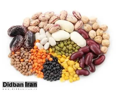 مصرف پروتئین گیاهی راهکار مبارزه با گرسنگی