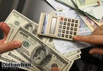 کارشناس اقتصادی: اختلاف چند هفته‌ای مجلس و دولت باعث افزایش نرخ ارز شده است