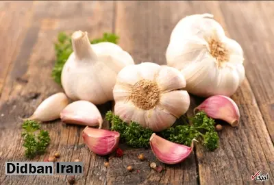 چطور با مصرف سیر فشار خون را درمان کنیم؟/ ۷ خاصیت معجزه آسای سیر 