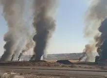 وقوع آتش‌سوزی در نیزار‌های رودشور پرند