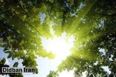 نور خورشید مردان را گرسنه‌تر می‌کند