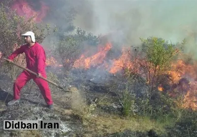 آتش ۱۰ هکتار از «شبه جزیره میانکاله» را در برگرفت