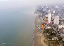 قائم‌مقام سازمان جنگل‌ها: ساحل‌خواری در جنوب بیشتر از شمال کشور است