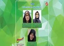 نماینده مجلس: مهریه را کی داده و کی گرفته اشتباه است زیرا با این تفکر ازدواج باطل است