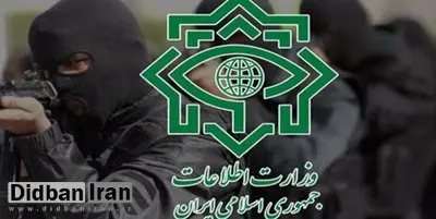 وزارت اطلاعات آمادگی حل مشکلات ایرانیان خارج از کشور را دارد