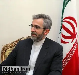 باقری کنی برای نخستین بار با «گروسی» دیدار می کند
