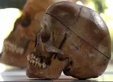 انسان‌های اولیه احتمالا مغز مردگان را می‌خوردند و جمجمه‌شان را کاسه می‌کردند