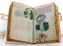 سرگذشت «مرموزترین کتاب جهان» که هیچ‌کس نمی‌داند دربارۀ چیست