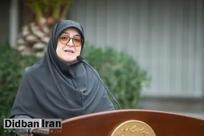مهاجرانی: دولت مصوبهای برای افزایش قیمت بنزین نداشته است