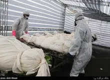 مجموع جانباختگان کرونا از مرز ۱۱۴ هزارنفر گذشت