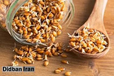 خوراکی که سبب افزایش طول عمر میشود
