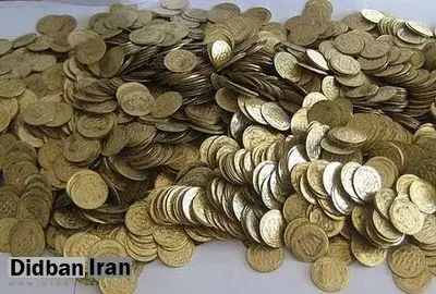 ۲ قبرکن ۲۶۰ سکه عتیقه پیدا کردند/ یکی از قبرکن ها سهمش را برداشت و فرار کرد