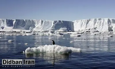 تفاوتهای عجیب بین قطب جنوب و قطب شمال