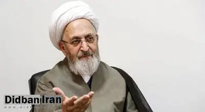 آیت الله سبحانی: ساخت آپارتمان از نظر اخلاقی صحیح نیست / دولت باید برای مردم خانه های ویلایی بسازد