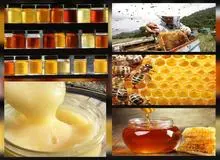 ویژگیهای "عسل طبیعی" و راهکار تشخیص عسل تقلبی چیست
