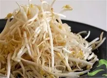 چرا «جوانه گندم» اکسیر جوانی است؟!