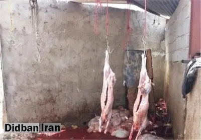 چوب حراج بر تن بهداشت با خرید کمی ارزانتر گوشت