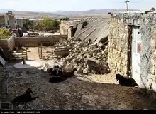 پنج پیشنهاد وزارت جهاد کشاورزی برای کمک به مناطق زلزله زده