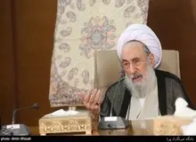 آیت الله شبستری: FATF یکسال پیش از دستور مجمع خارج شد/ در جریان بررسی مجدد نیستیم
