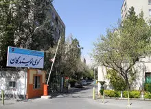 علی پاداش خبرنگار پیشکسوت درگذشت
