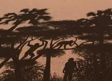 محققان: اجداد انسان‌ها احتمالا ۷ میلیون سال پیش شروع به حرکت روی دو پا کردند