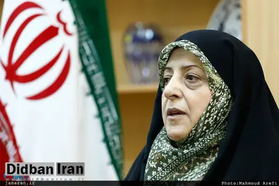 ابتکار: شک ندارم که تمام دیدگاههای آقای حجاریان دلسوزانه است