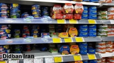 دبیر سندیکای کنسرو ایران: سقوط ۷۰ درصدی واردات ماهی به ایران علت افزایش قیمت کنسرو تن است/ بی ثباتی مدیریتی در وزارت کشاورزی یکی از عوامل افزایش قیمت هاست