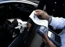 رییس پلیس راهور تهران: حمل آزادانه حیوانات در داخل خودرو ۲۰ هزارتومان جریمه دارد