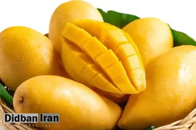انبه چه فوایدی برای سلامتی دارد؟