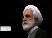 محسنی اژه ای: جایی که ضرورت ندارد، قرار بازداشت موقت نباید صادر شود/ تا حد امکان از تقاضای قصاص صرفنظر شود