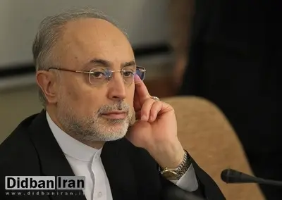 رئیس سازمان انرژی اتمی ایران در رأس هیأتی به وین رفت